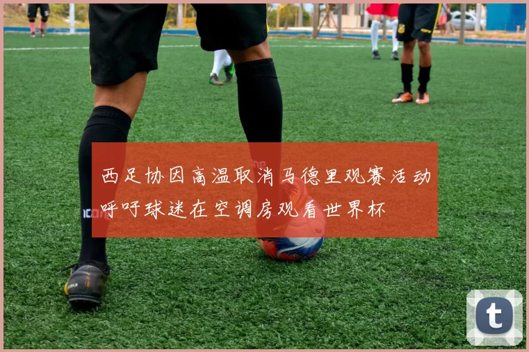 西足协因高温取消马德里观赛活动呼吁球迷在空调房观看世界杯